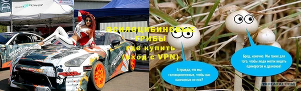 сатива Алексеевка